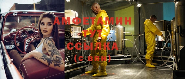 шишки Беломорск