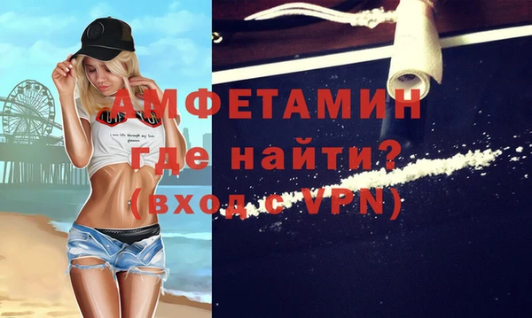 шишки Беломорск