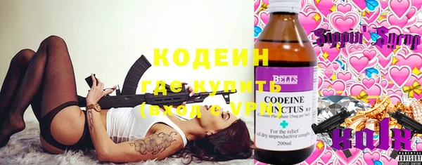 шишки Беломорск