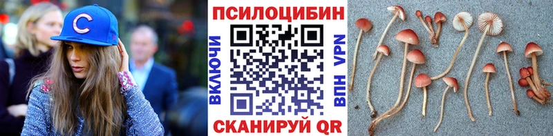 Псилоцибиновые грибы мицелий ссылка на мегу рабочий сайт Верхний Уфалей